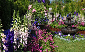 Gardens Galore